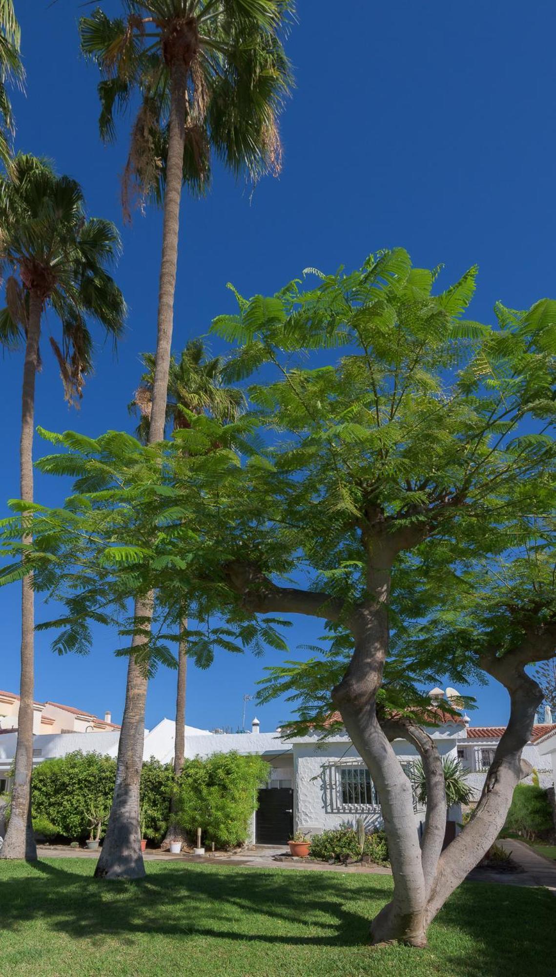 Apartmán Relax Pasito Blanco Exteriér fotografie
